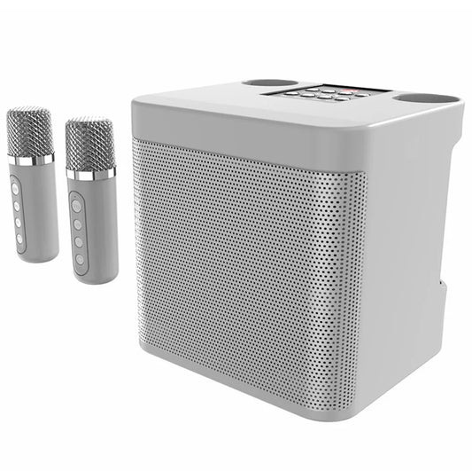 Gray rectangular portable bluetooth karaoke speaker with perforated front panel and two wireless mic home microphones