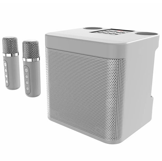 Silver and gray karaoke machine with two wireless microphones portable for big party outdoor use