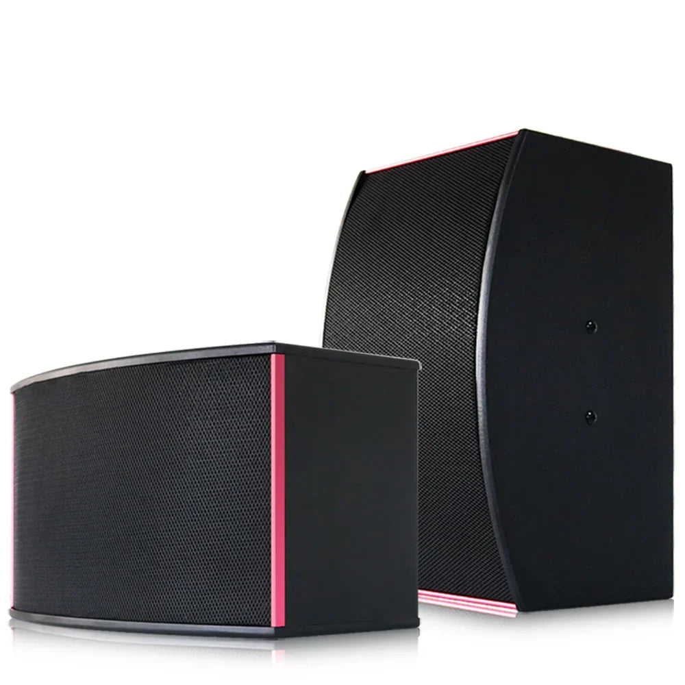 Black karaoke speaker 10inch with pink accent trim and textured grille designed as a 10inch speaker box for disco use