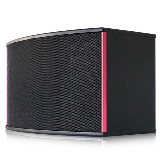 Black karaoke speaker 10inch with textured grille and vibrant pink accent trim for disco use in a 10inch speaker box