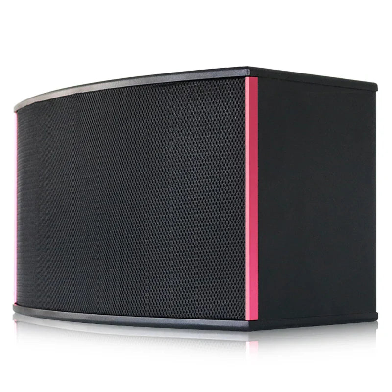 Black karaoke speaker 10inch with textured grille and vibrant pink accent trim for disco use in a 10inch speaker box