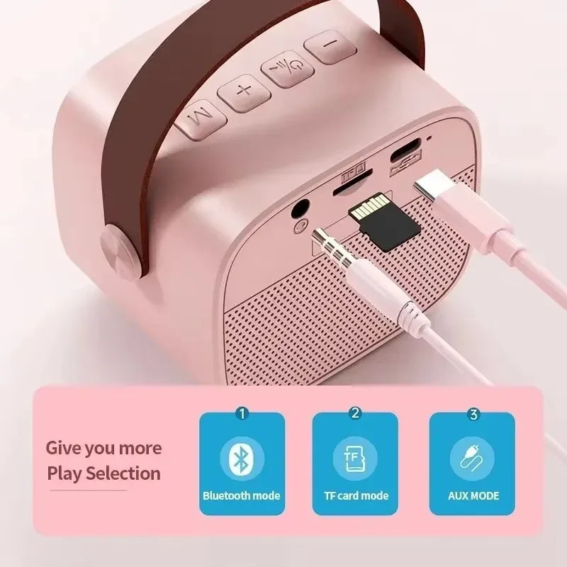 Pink portable bluetooth karaoke wireless dual speaker with brown leather handle and machine ktv dsp for adults party gift