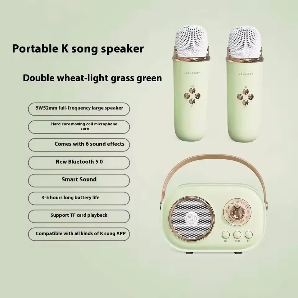 Pastel green karaoke wireless portable bluetooth speaker with vintage design two microphones radio fm machine small mp3 column