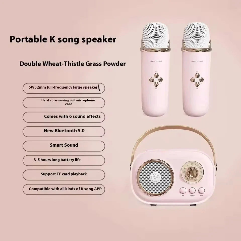 Pink karaoke wireless portable bluetooth speaker with vintage design radio fm machine and matching small mp3 column microphones