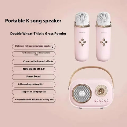 Pink karaoke wireless portable bluetooth speaker with vintage design radio fm machine and matching small mp3 column microphones