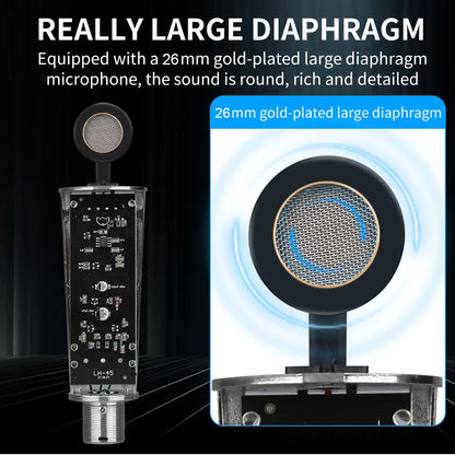 A sleek transparent housing with 26mm gold-plated condenser mic head for u87 ai xlr recording podcasting voice and streaming home studio