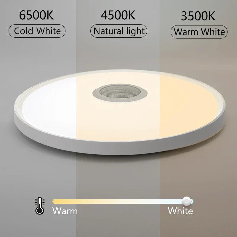Modern white led smart ceiling lamp with remote control dimming and adjustable color temperature for living room lighting