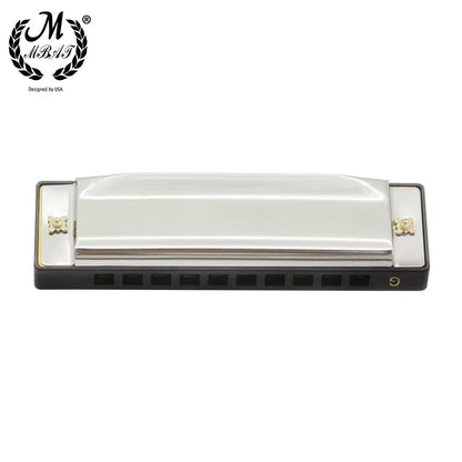 Silver blues harmonica with black abs box casing and gold decorative ends for beginner music lovers and woodwind players