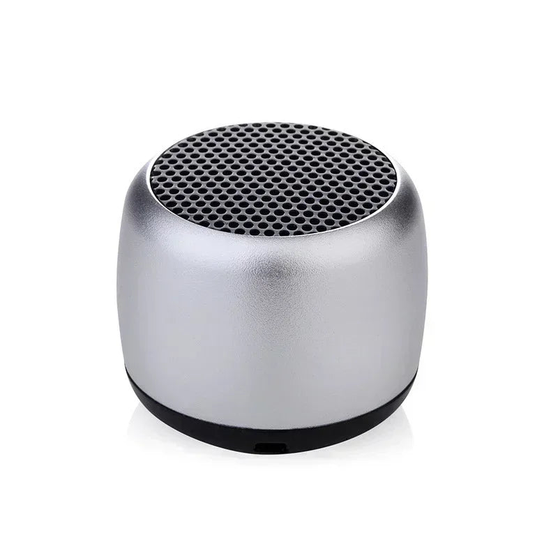 Compact silver portable bluetooth speaker with black perforated grille matte finish for outdoor subwoofer speaker use
