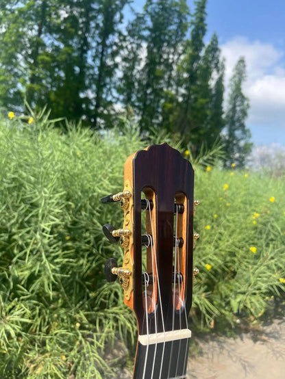 Dark wood guitar headstock with gold tuning pegs and light brown neck on master level aiersi lattice bracing classical guitar