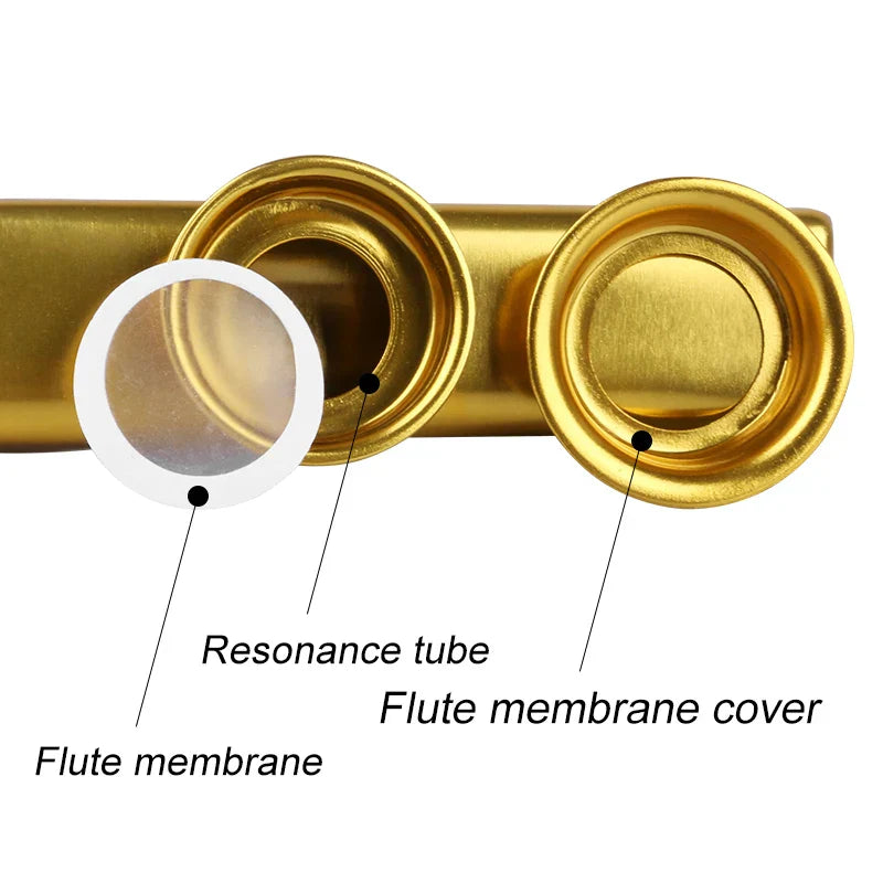Gold-colored metal kazoo musical instrument with resonance tube and membrane cover shiny metallic finish pcs flute film set