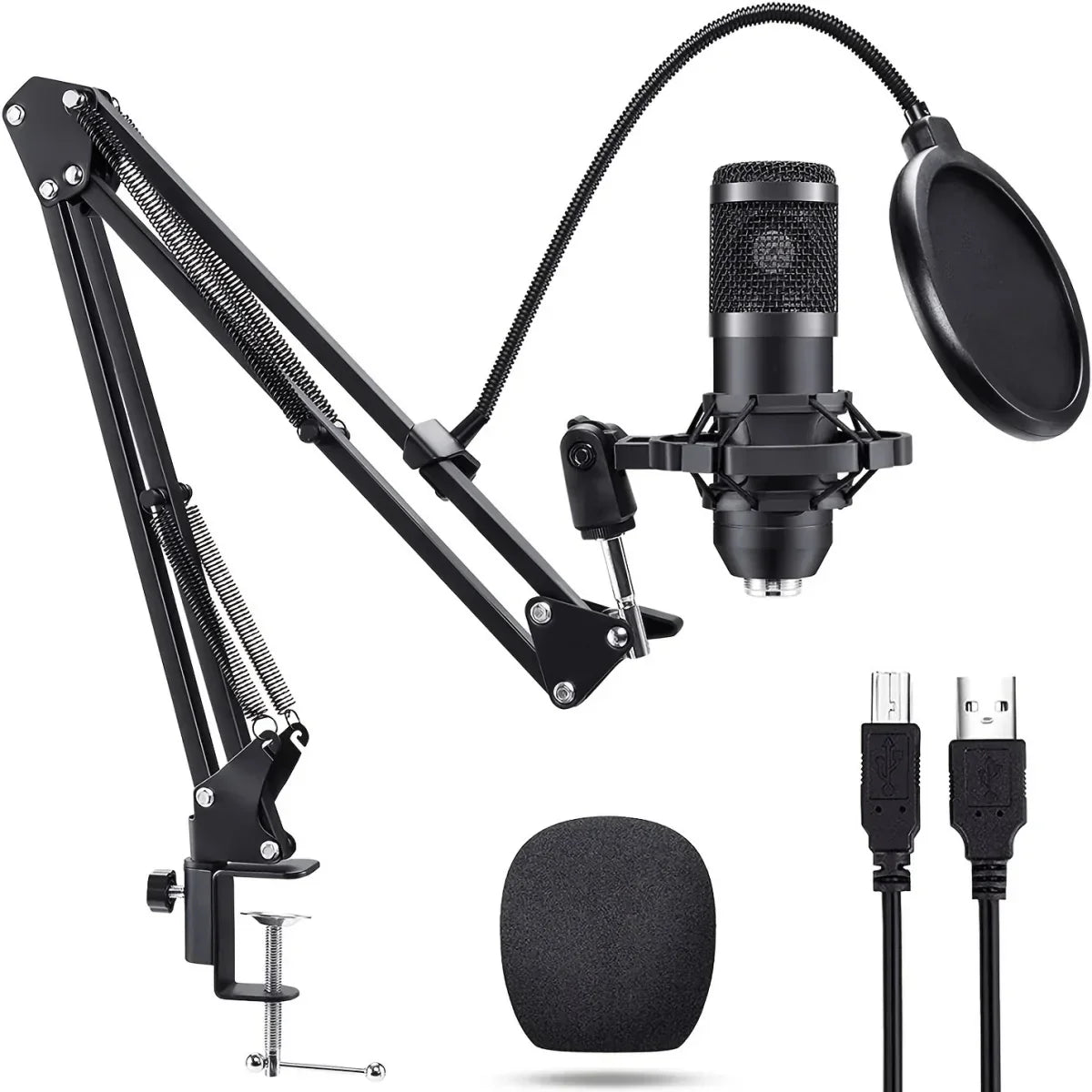 Black condenser microphone studio professional with pop filter and suspension scissor arm for live broadcast singing