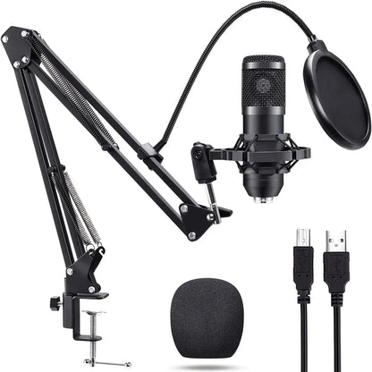 Black condenser microphone studio professional with pop filter and suspension scissor arm for live broadcast singing