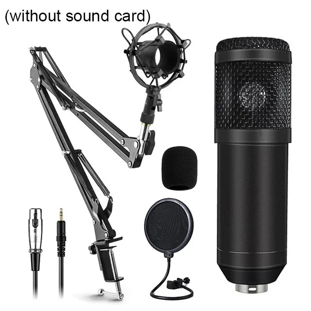 Black bm800 microphone kit with mesh grille, metallic base, suspension scissor arm, and shock mount for studio recording