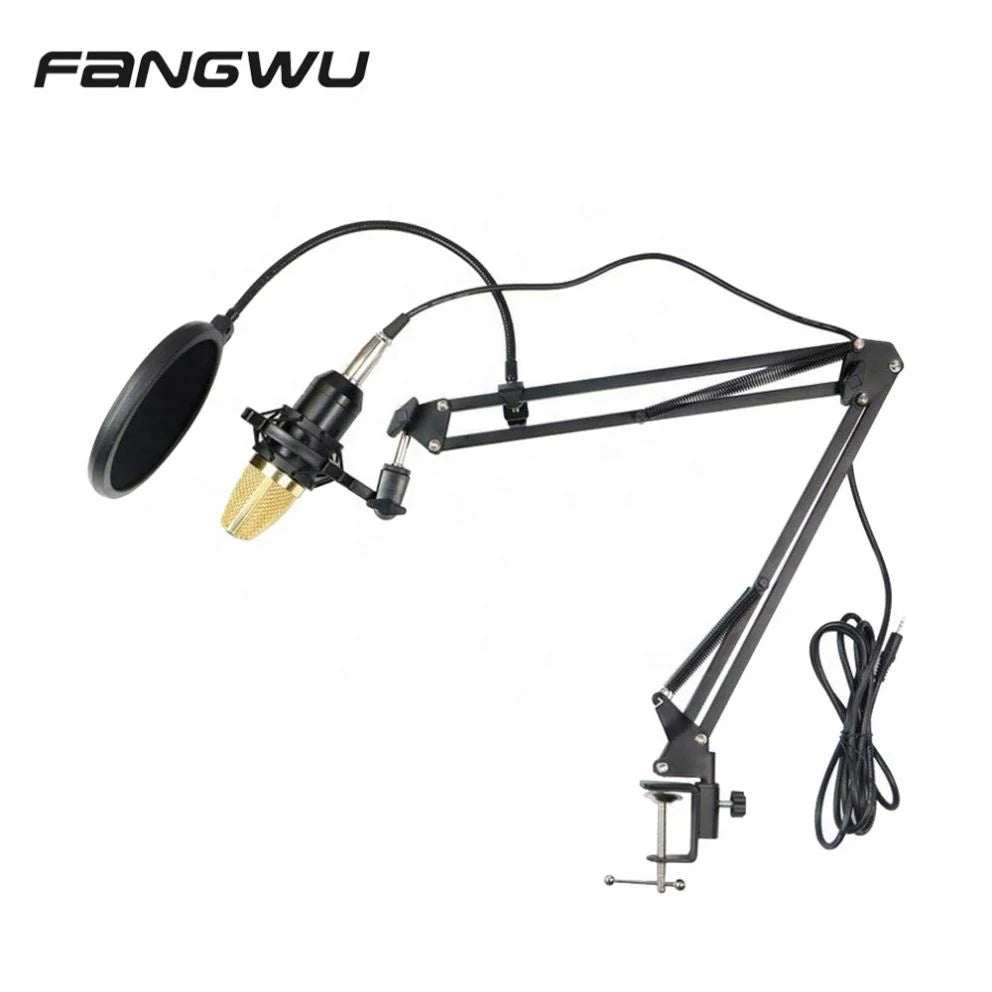 Black adjustable metal rap studio microphone stand with gold condenser mic and pop filter by fangwu for beat music store use