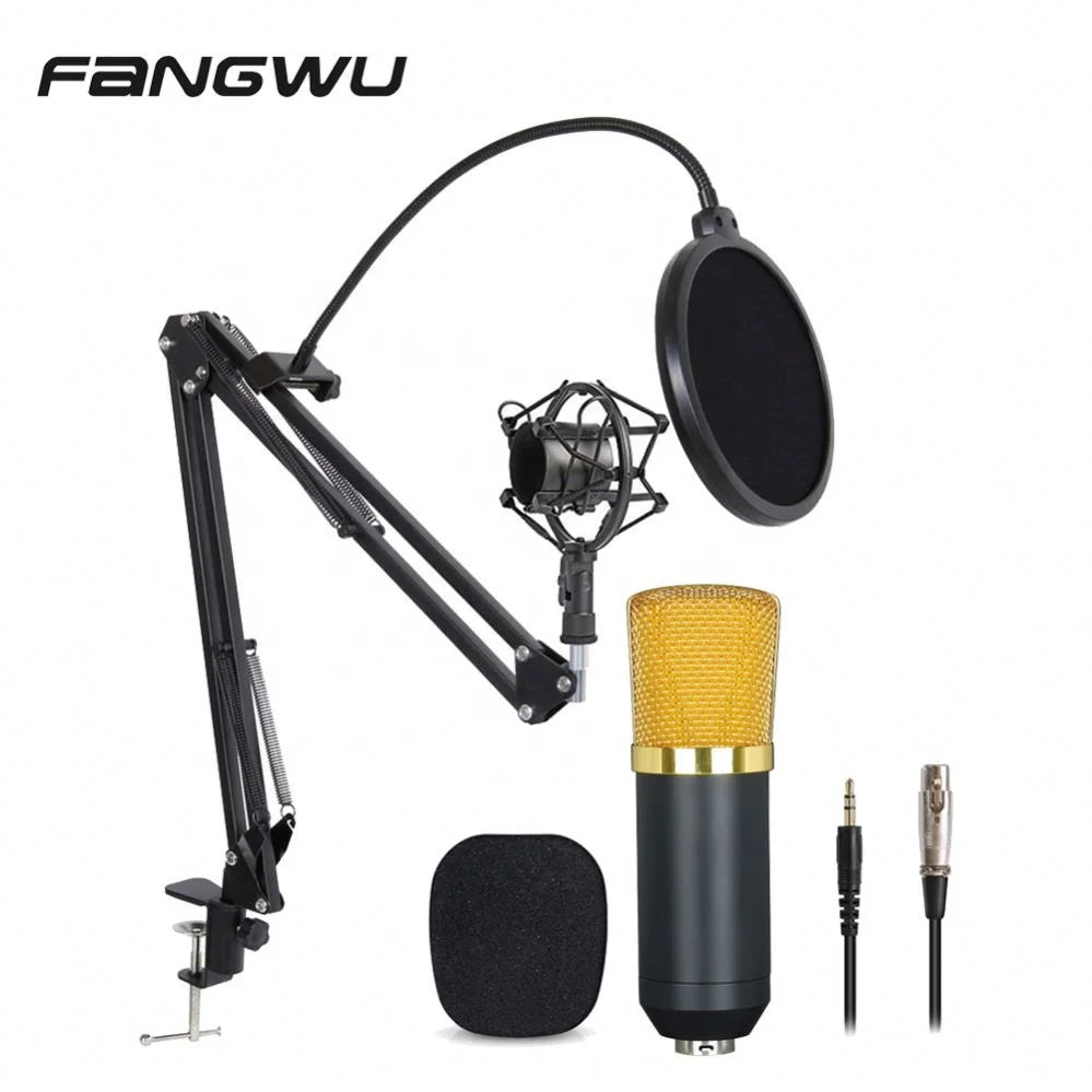 Black and gold metal rap studio microphone with mesh grille on adjustable arm stand featuring high signal noise ratio