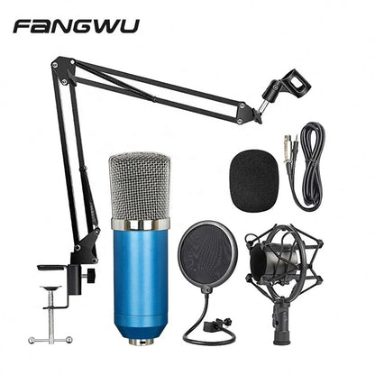 New design metal rap studio microphone with blue body silver mesh grille and high signal noise ratio for beat music store