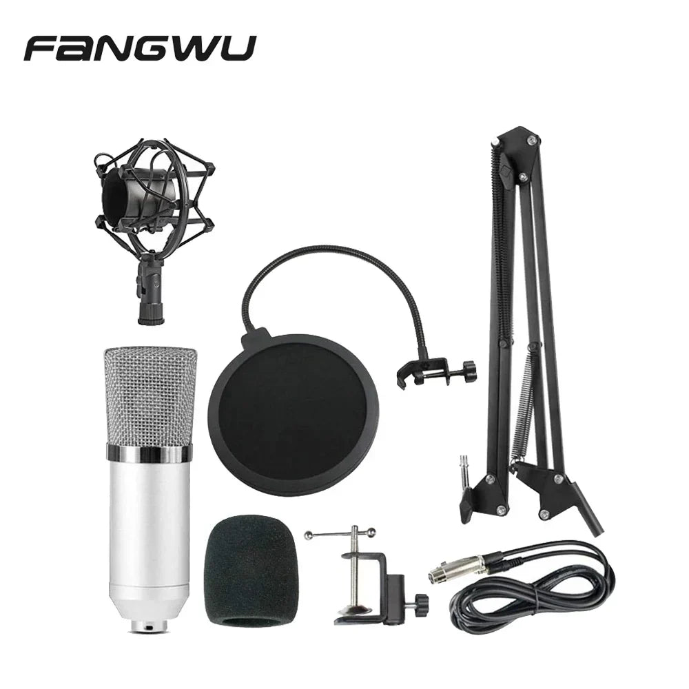 Silver metal rap studio microphone with mesh grille and black shock mount featuring high signal noise ratio for beat music store use