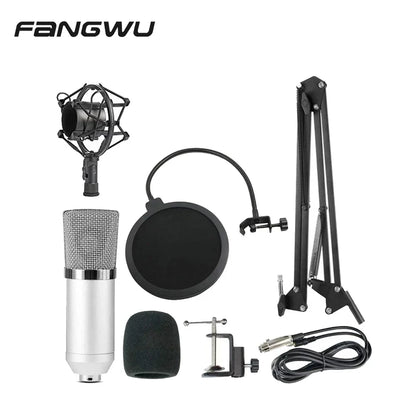 Silver metal rap studio microphone with mesh grille and black shock mount featuring high signal noise ratio for beat music store use