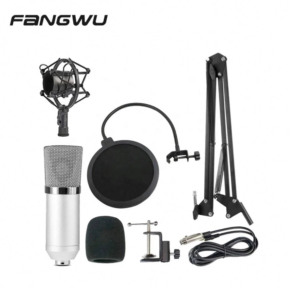 Silver condenser rap studio microphone with mesh grille and chrome accents for high signal noise ratio in beat music store kit