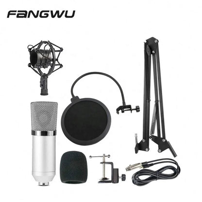 Silver condenser rap studio microphone with mesh grille and chrome accents for high signal noise ratio in beat music store kit