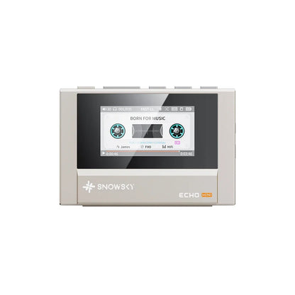 Silver fiio snowsky echo mini walkman 8gb portable music player with touchscreen and custom support dsd cassette interface