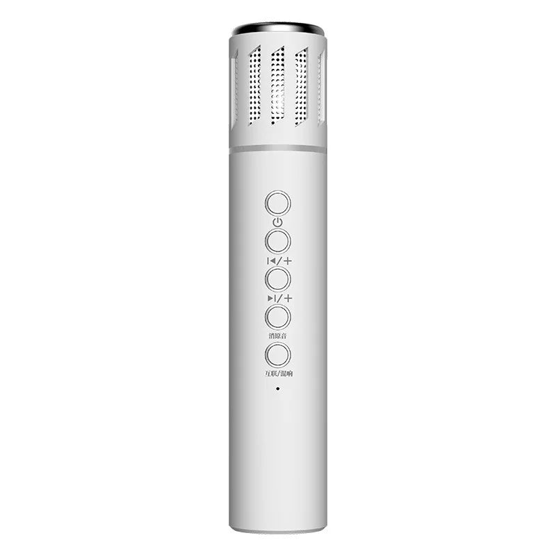 Silver cylindrical handheld live broadcast microphone with perforated grille and buttons for k20 bluetooth speaker karaoke large capacity