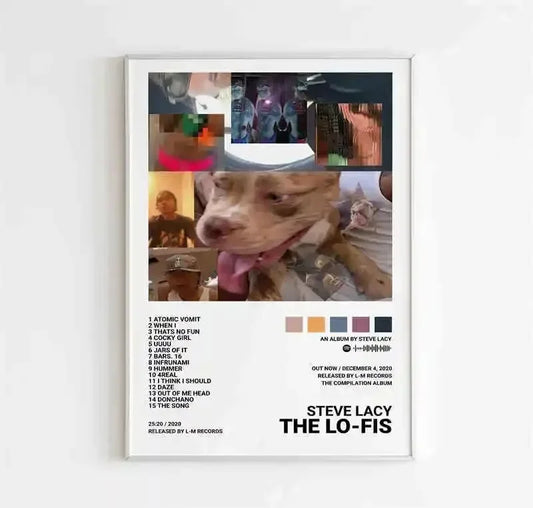A framed canvas wall art poster with black and white typography listing tracks from Steve Lacy’s the Lo-Fis album