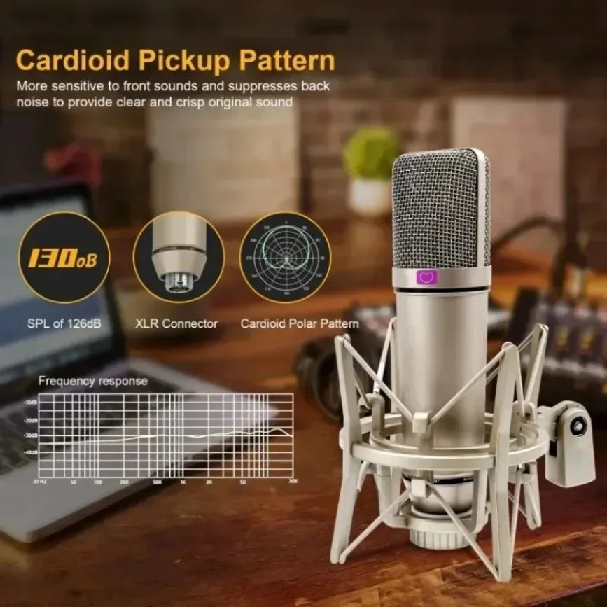 Silver condenser 48v xlr microphone with mesh grille and purple accent mounted on shock mount for portable professional podcast recording singing streaming