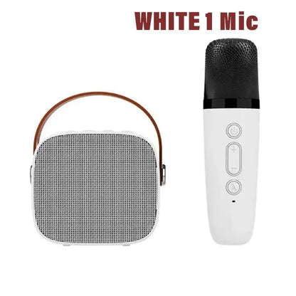 White portable wireless dual microphones karaoke machine homektv with brown leather handle and bluetooth speaker hifi grille