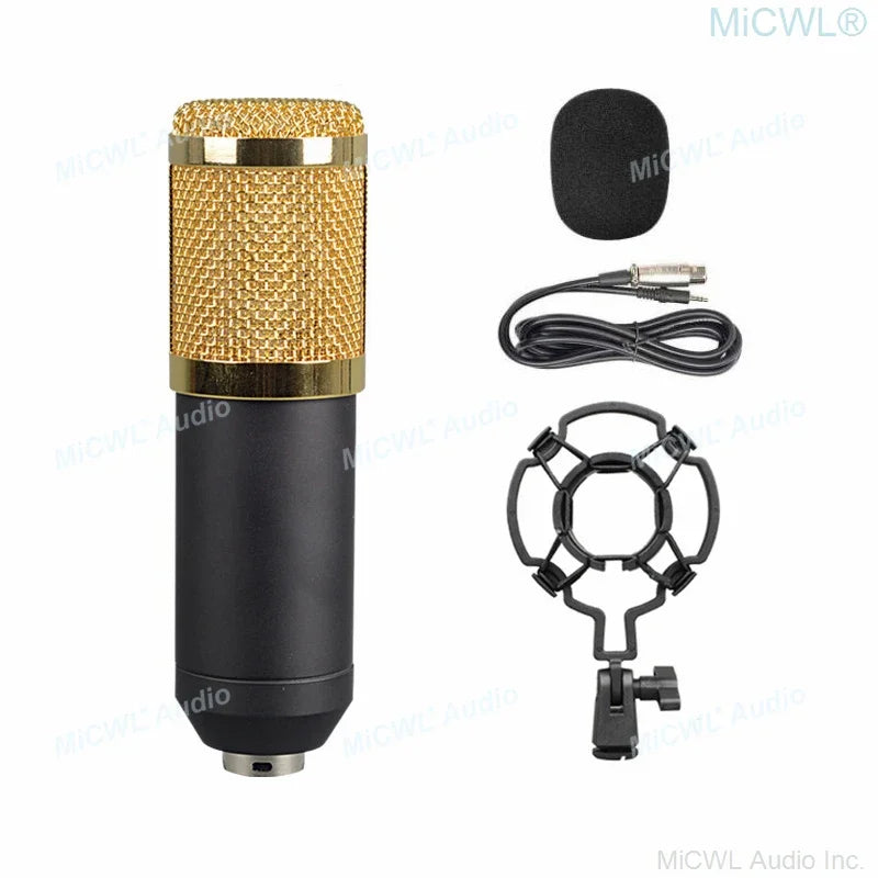 Gold mesh and black body pro studio condenser recording audio microphone with gold accents and shock mount foam cable