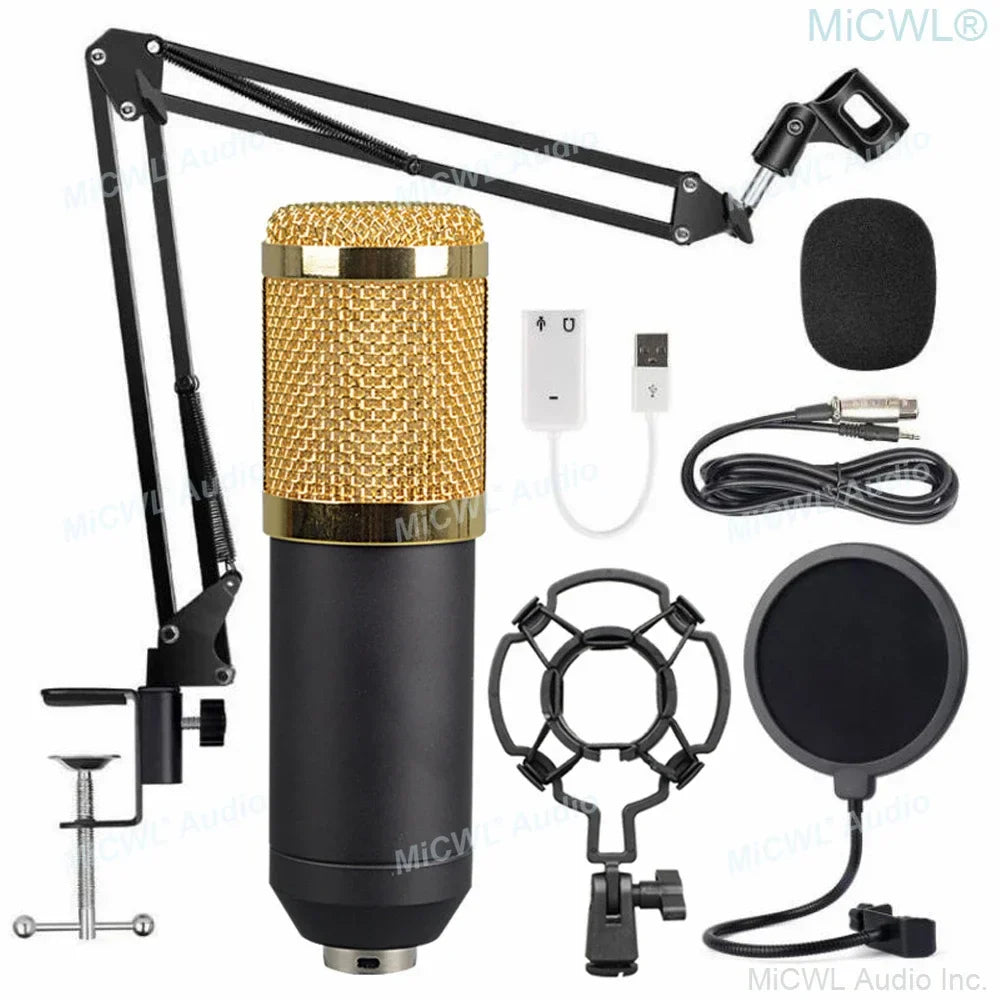 Gold and black pro studio condenser recording audio microphone with mesh grille and shock mount foam by micwl