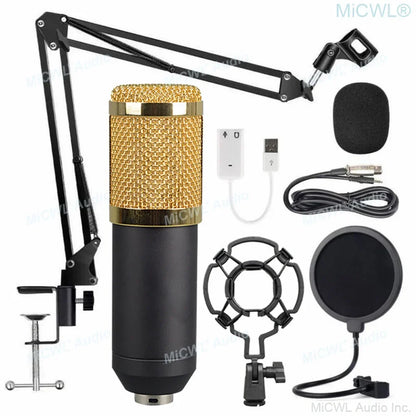 Gold and black pro studio condenser recording audio microphone with mesh grille and shock mount foam by micwl