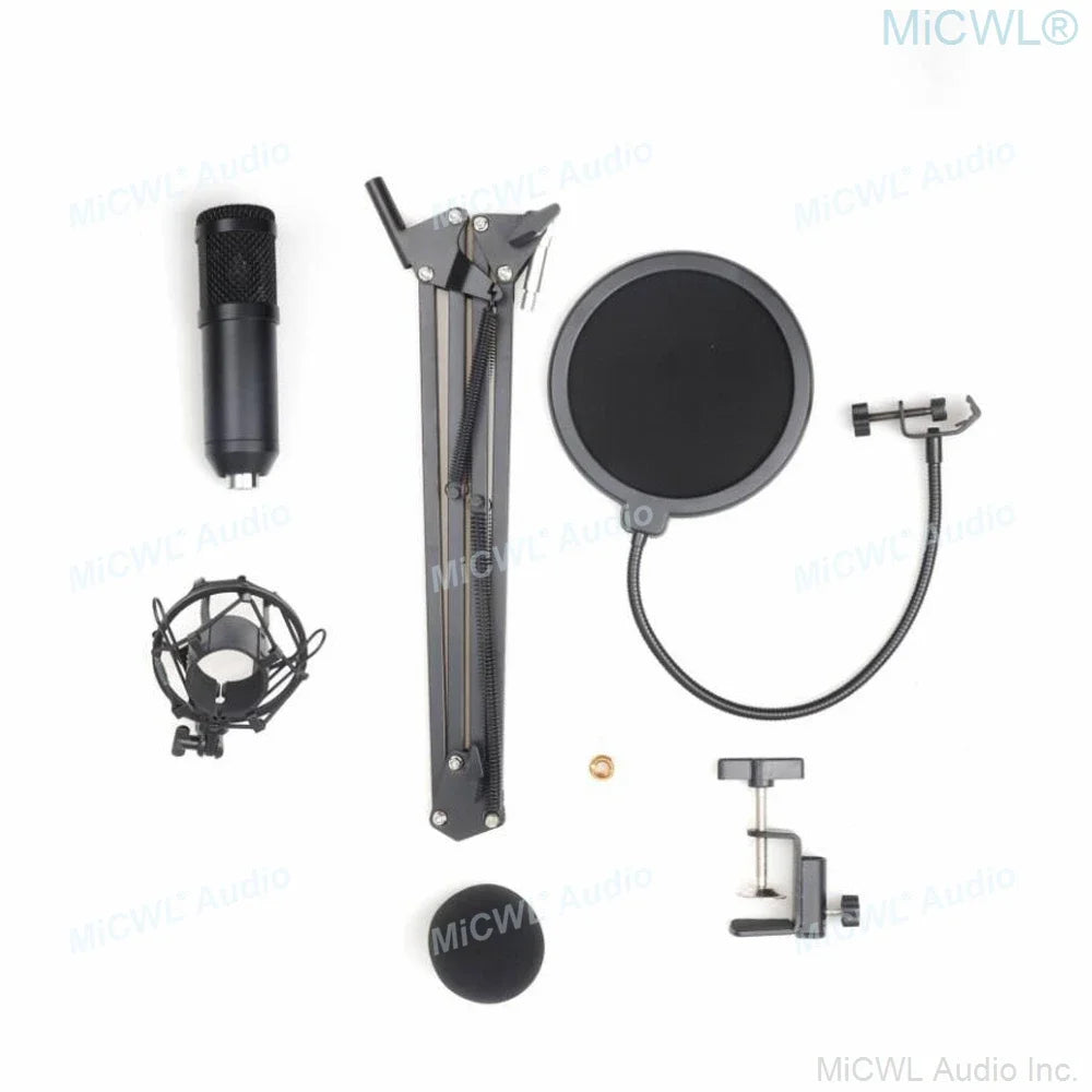 Black pro studio condenser recording audio microphone with mesh grille shock mount foam for laptop and pc use