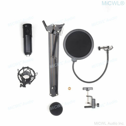Black pro studio condenser recording audio microphone with mesh grille shock mount foam for laptop and pc use
