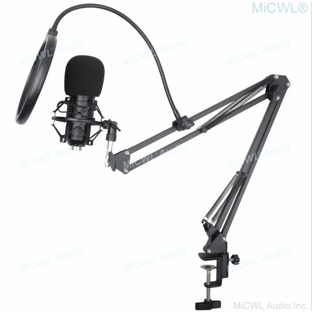 Black pro studio condenser recording audio microphone with shock mount foam pop filter and adjustable arm mount