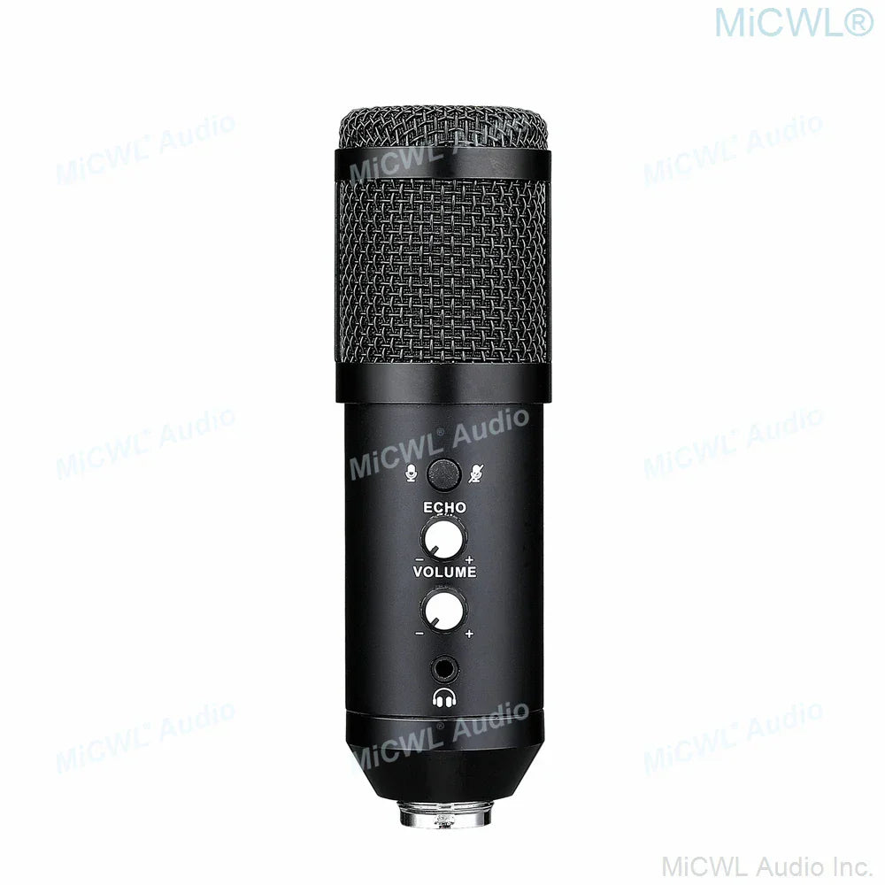 Black pro USB studio recording live microphone cardioid condenser with mesh grille and echo volume control knobs