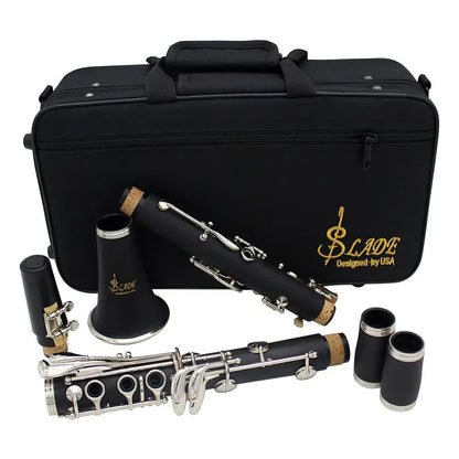 Professional black wood bb clarinet with silver keys and cork joints next to accessories reed box and cleaning brushes trimmer