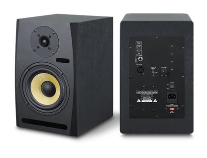 Black professional home studio monitor speaker with gold woofer cone and back panel input ports for microphone device recording