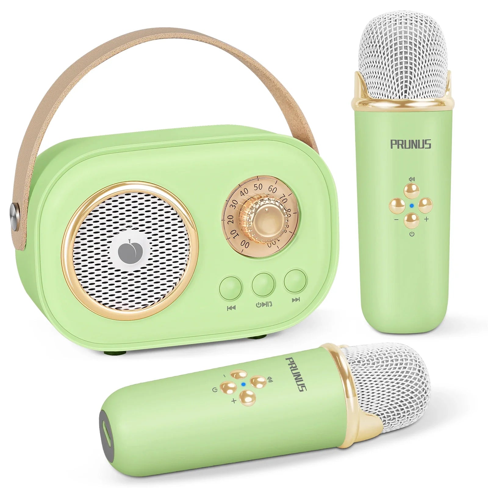 Mint green prunus c20 mini karaoke machine portable bluetooth speaker with gold accents and leather strap for kids party birthday gifts