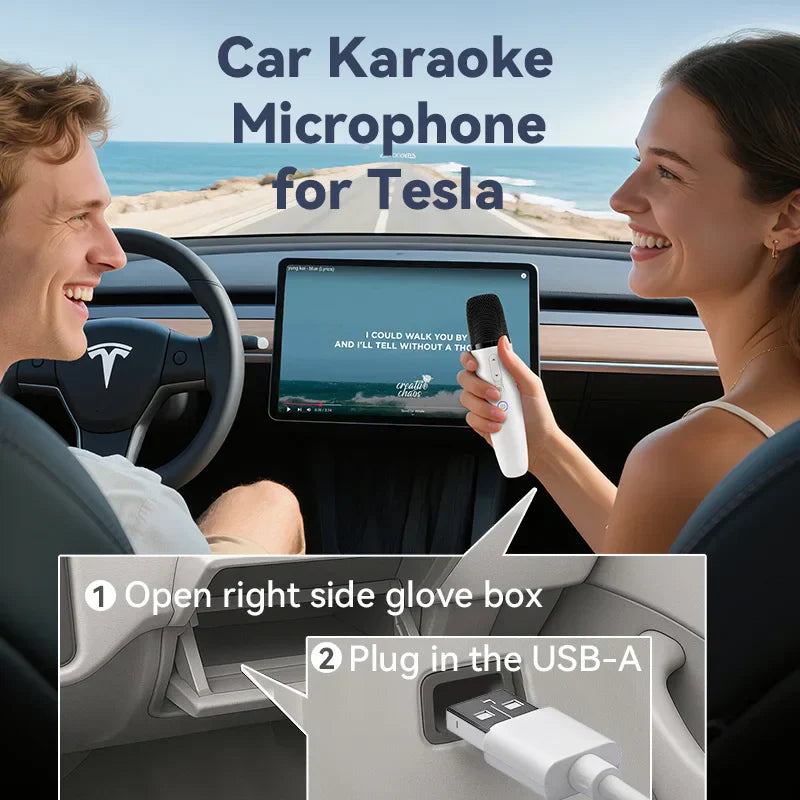 White handheld car karaoke microphone for tesla with joy effects rechargeable and portable bag wireless mic features