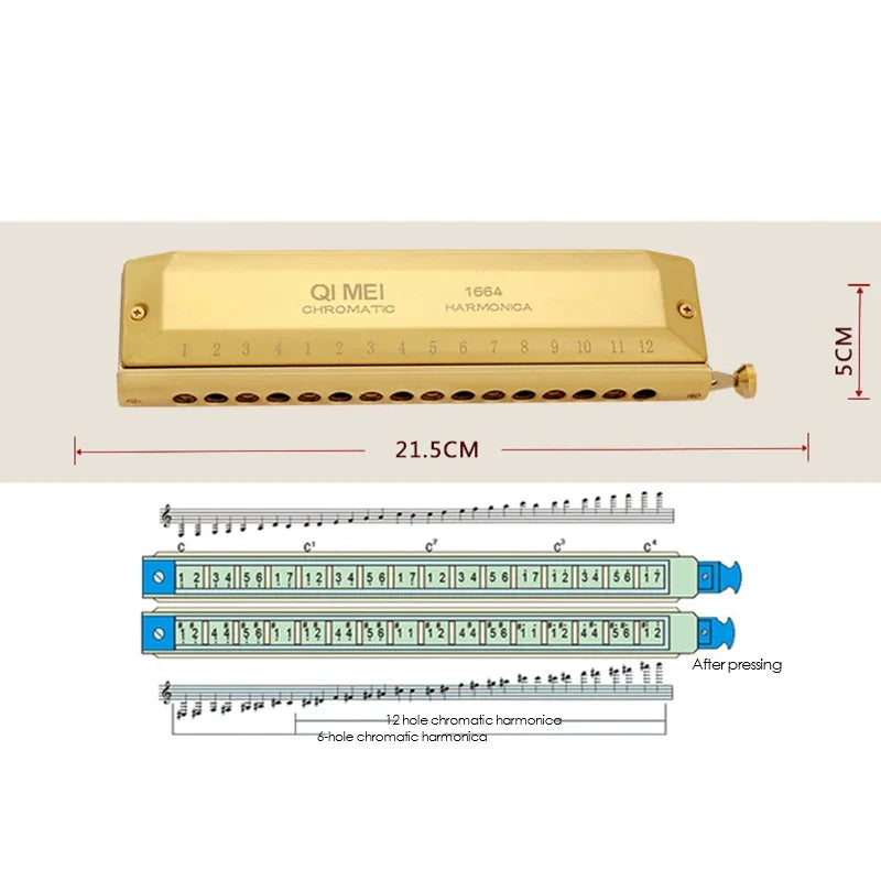 Gold-colored mei chromatic harmonica with 16 holes engraved brand name sleek metallic finish professional musical instruments