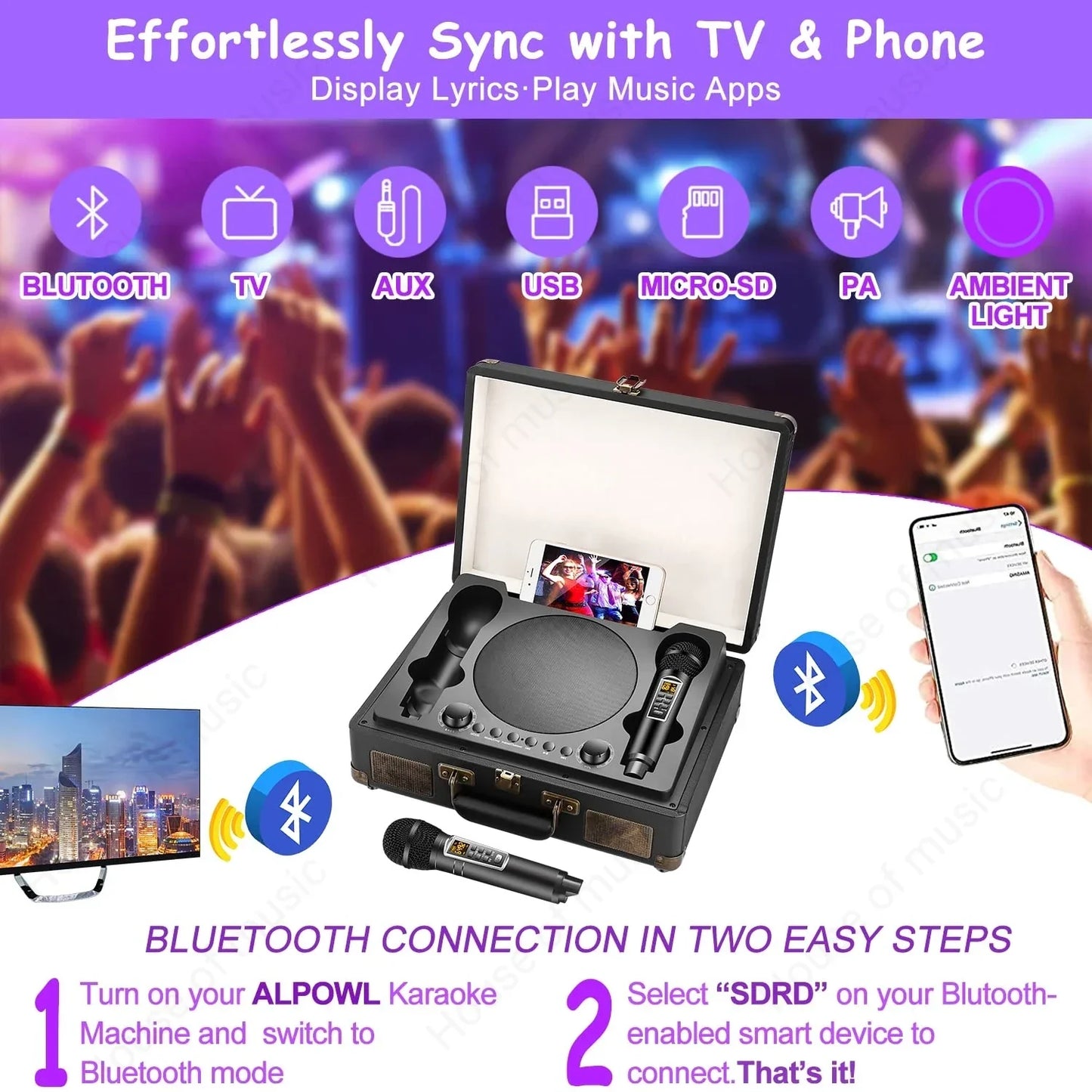 Black portable home theater ktv speaker with built-in turntable and two wireless microphones in outdoor suitcase karaoke sd2109