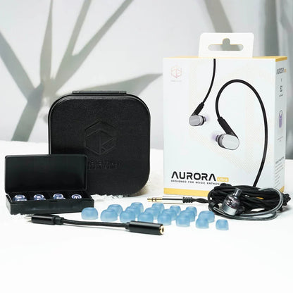 Roseselsa aurora ultra black in-ear earphones with silver accents featuring dual-driver hybrid design and type c dac compatibility