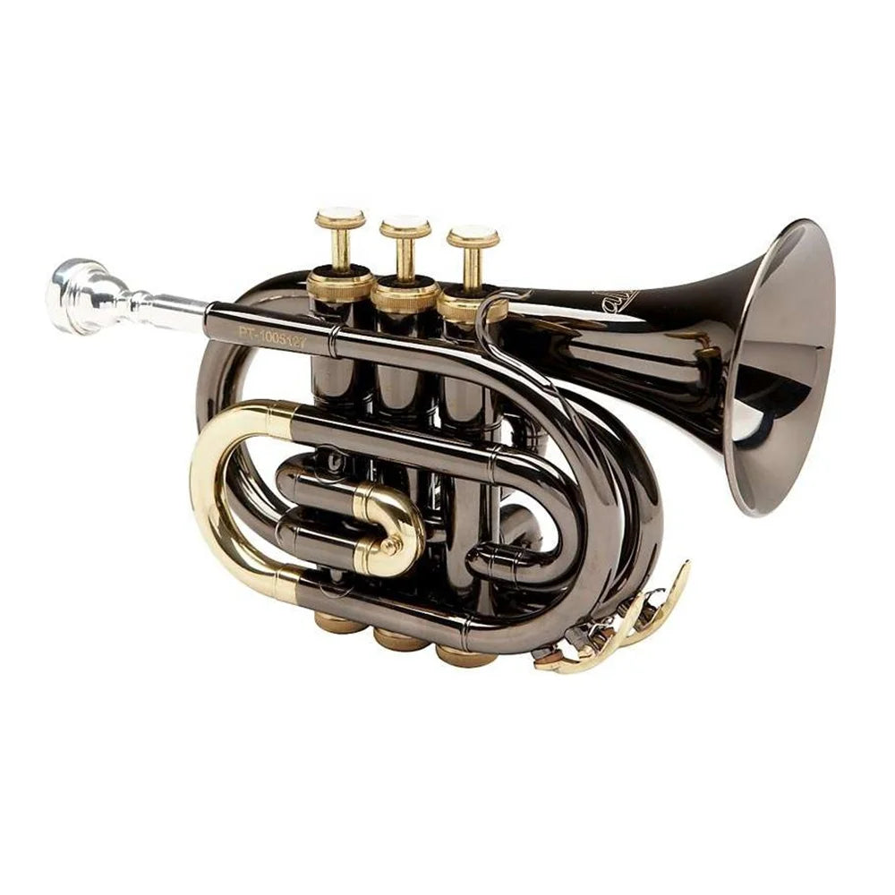 A sleek black and gold brass seasound mini pocket trumpet bb tone instrument trompette jypt406bk with three valves