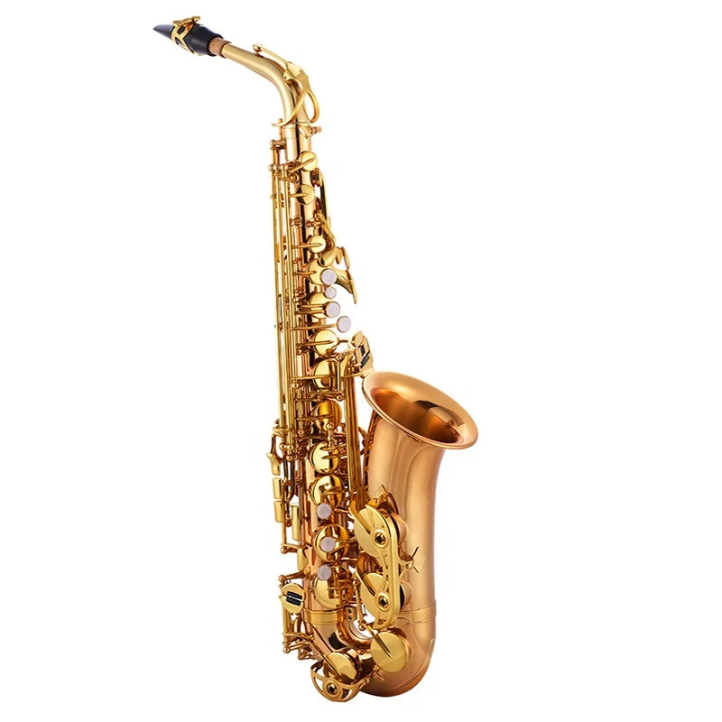 Seasound OEM professional gold copper alto copper alto saxophone with polished brass body and black mouthpiece