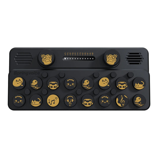 Black springvideo pocket music portable electronic piano with gold emoji keys and customizable music card feature