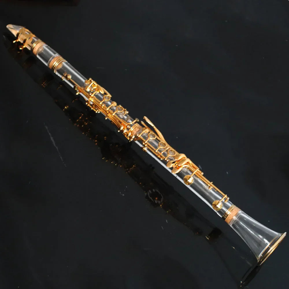 Stylish transparent clarinet made of clear acrylic with gold-plated bb17 keys and fittings for musical performance