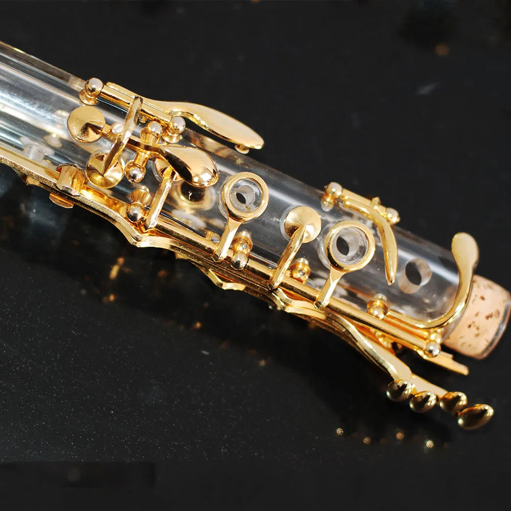Stylish transparent clarinet made of clear plastic with gold-plated bb17 keys and metal fittings for musicians