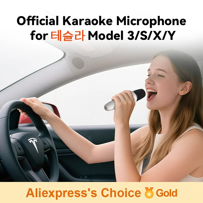 Silver rechargeable car karaoke microphone with usb-a and usb-c receiver plug for tesla model 3 s x y